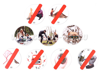 Набор магнитных карточек Правила поведения в лесу (к плакату Лес, тема 5)