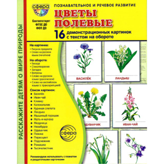 Демонстрационные картинки СУПЕР. Цветы полевые (16 шт.) в папке