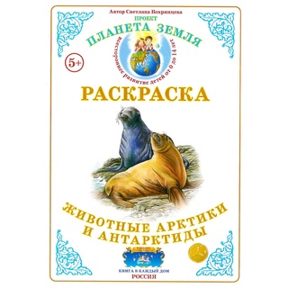 Раскраска Животные Арктики и Антарктиды