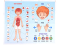 Панно Тело человека (88 элементов)