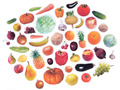Магнитное учебное пособие "Наш урожай"
