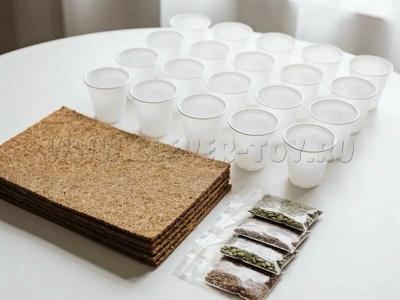 Ресурсный набор для выращивания к набору "Экологика" М1 ЙоТик 32